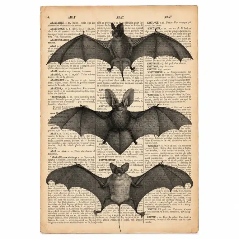 Affiche chauve-souris vintage - Chauves-souris 20 × 30 cm