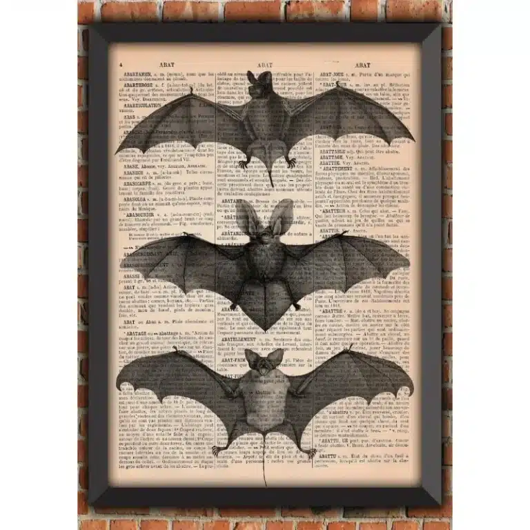 affiche-chauve-souris-vintage-2