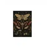 Affiche papillon de nuit gothique - Papillons beiges 20 × 30 cm
