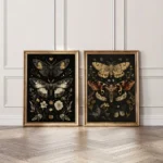 Affiche papillon de nuit gothique