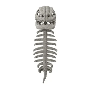 Costume squelette dinosaure 3D