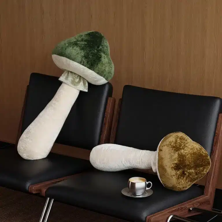 Coussin champignon maison