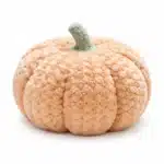 Coussin citrouille peluche - Pêche 20 cm