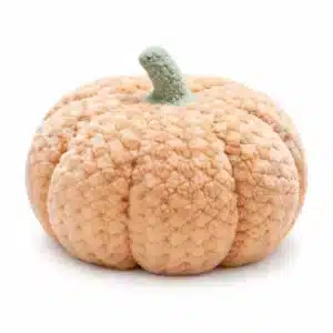 Coussin citrouille peluche - Pêche 20 cm