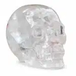 Crâne cristal transparent décoratif