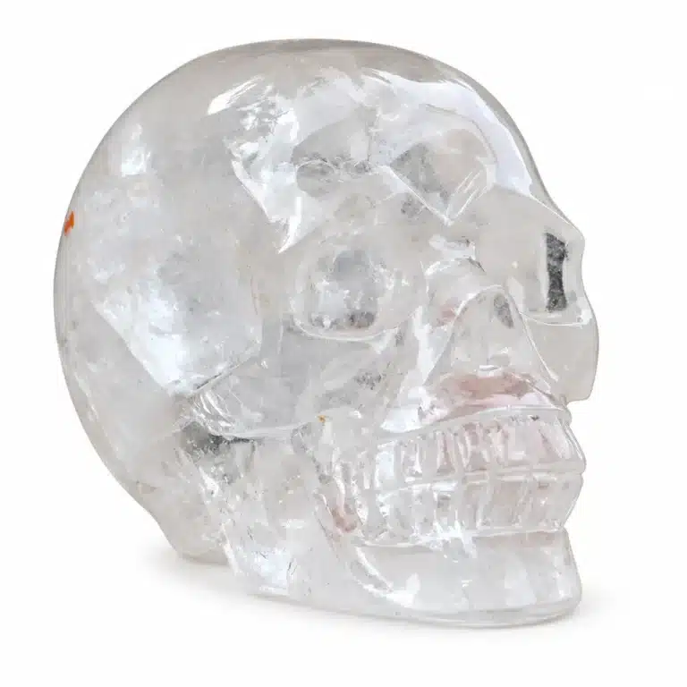 Crâne cristal transparent décoratif