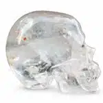 Crâne cristal transparent décoratif