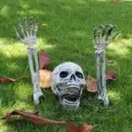 Décoration jardin Halloween squelette
