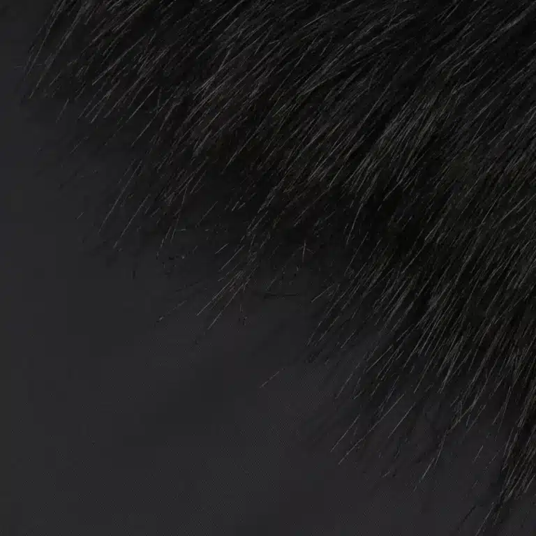 Masque crâne de loup viking