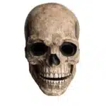 Masque tête de mort mâchoire mobile - Gris