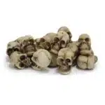 Petites têtes de mort décoratives